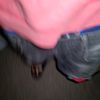 triple_txxx_