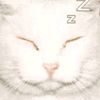 rl.7yz