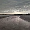 malechkaff