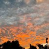 naturebyframes