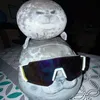 licht_silly_seal