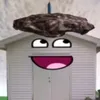 eggsboi382