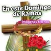 bigmar.gonzales8