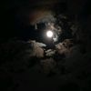 _.teymur._06