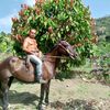 produccin.gilerilb