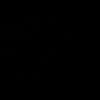 mzsgssa