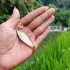 budak.lembur265