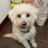 crispinjhunballicud