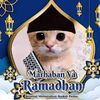ilham.daffakhri