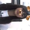 evelyn._candy