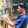 sahan_pigeon_loft