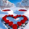 janan.king533