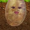 salwaa4243