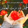 user81761748009167