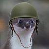 warweasel6