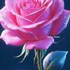 ruposri.mitro.rupa