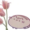 cskwx