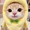 lusyu_88