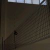 settervolleyball2