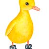 ducklover765