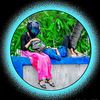 user88179935804575