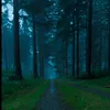 aramdomguy6