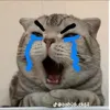 _minhah3