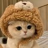 phoopyae3907