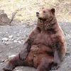 unproductive_bear