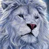 gtr.leo