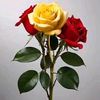 darshankumar7381