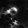 ghost_wolf04