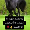 user6225009570493