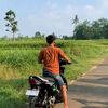 kingkong_039