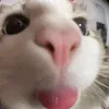ibelookin7