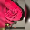 jill.170