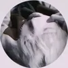 youngsanriio2_5_1