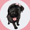 user1802910952165