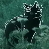 mafuidada