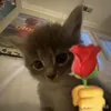 tothikmeouwu