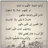 user7095309488325