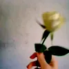 abeer.alfarwan6
