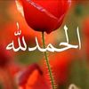 user80028184466924