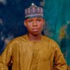real_sir_ib_1