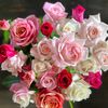 ayka_9645