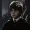 harrypottereditz365