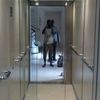 bemouss.dosso5