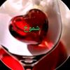 user8695718250610