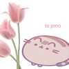 ohprincesswhereareyu