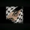 aakk6224